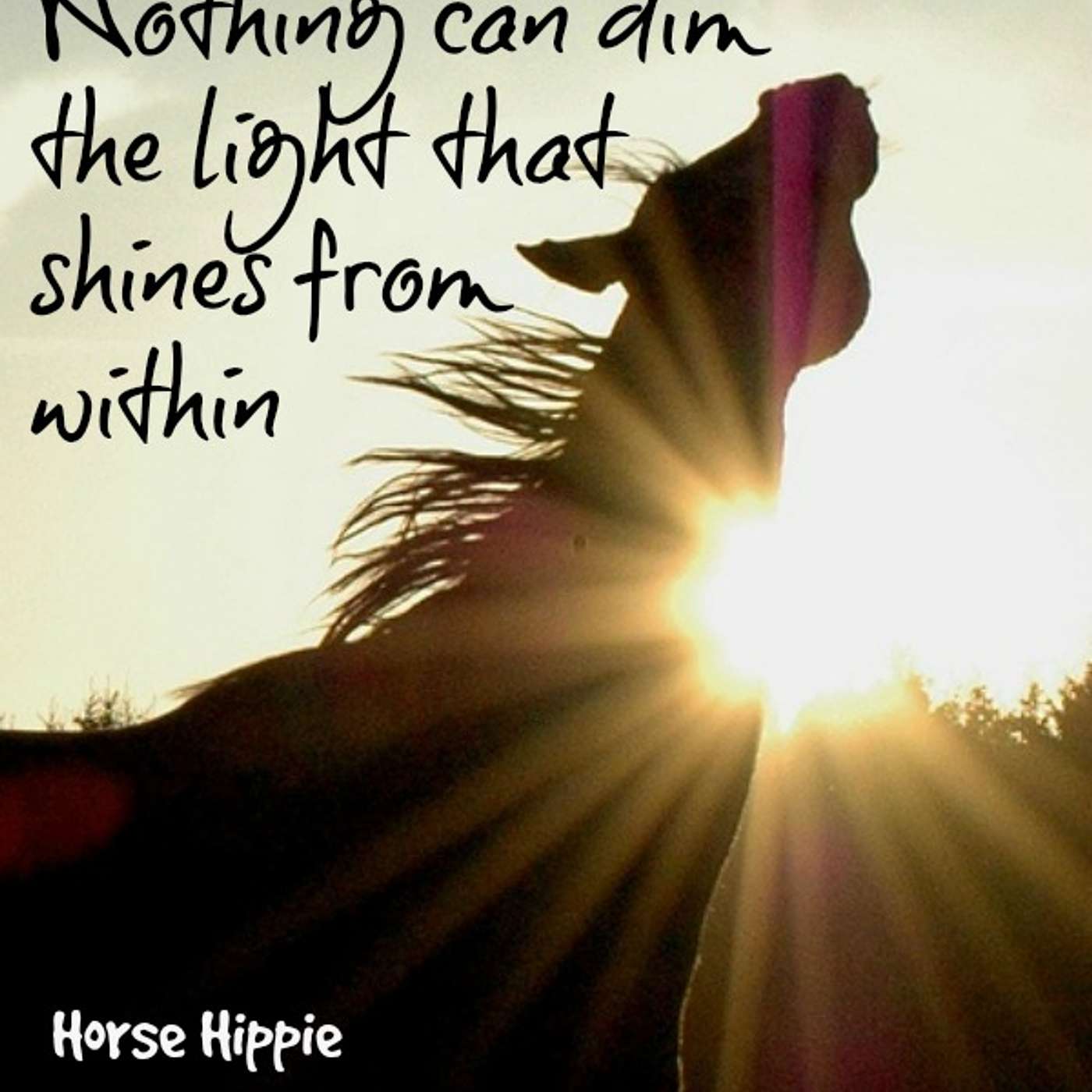 The Darker it is the Brighter You Shine