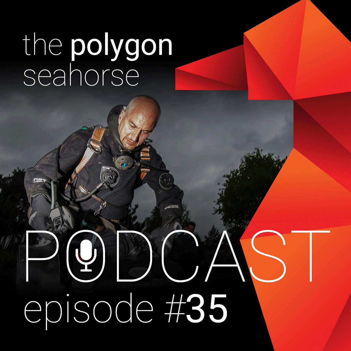 the polygon seahorse podcast, dé podcast over duiken