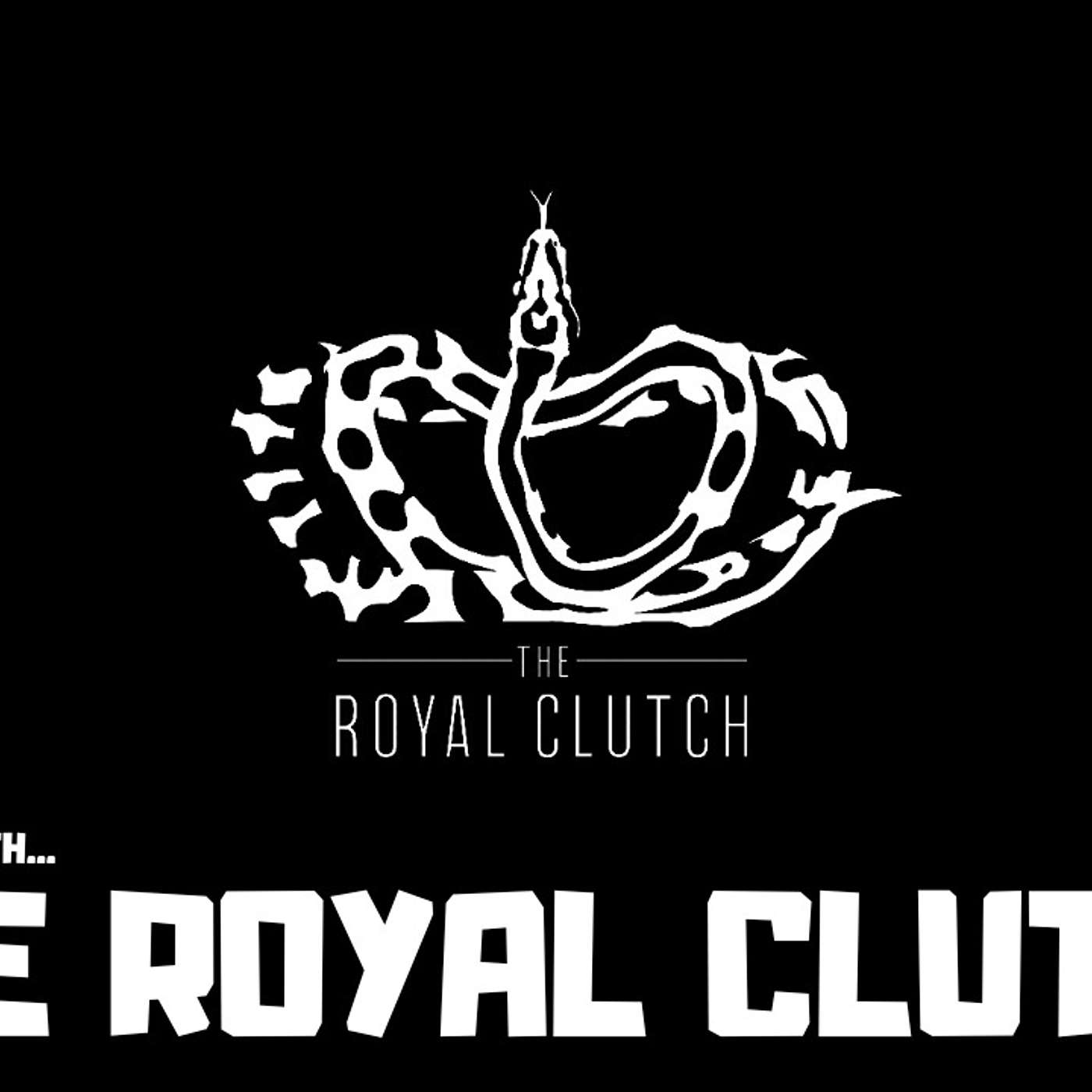 New Breeder On The Block Series |  Dorian Starks Of The Royal Clutch | Ball Pythons | Trap Talk