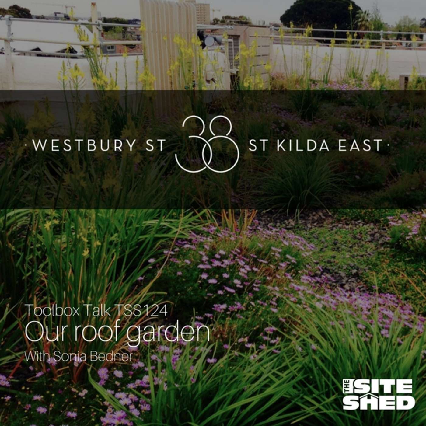 The Site Shed