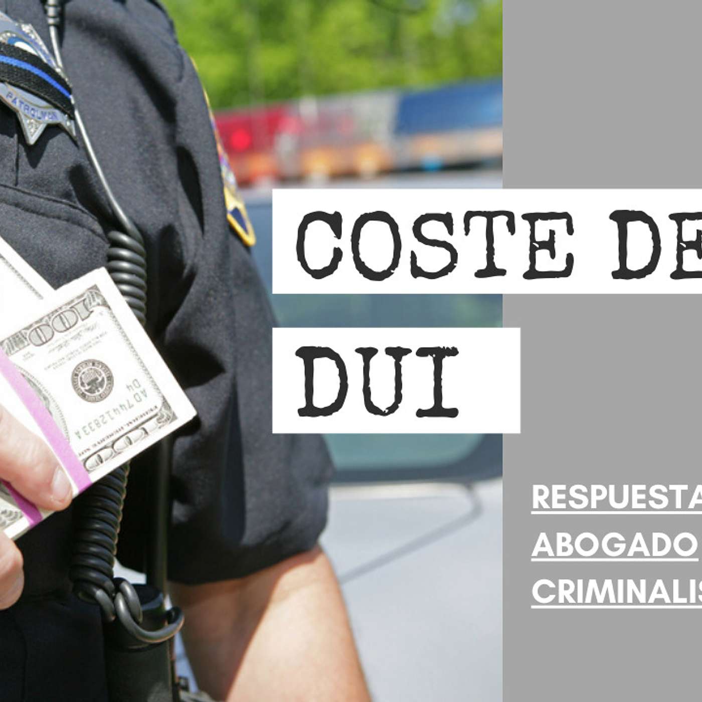 Abogado Criminalista Área de la Bahía