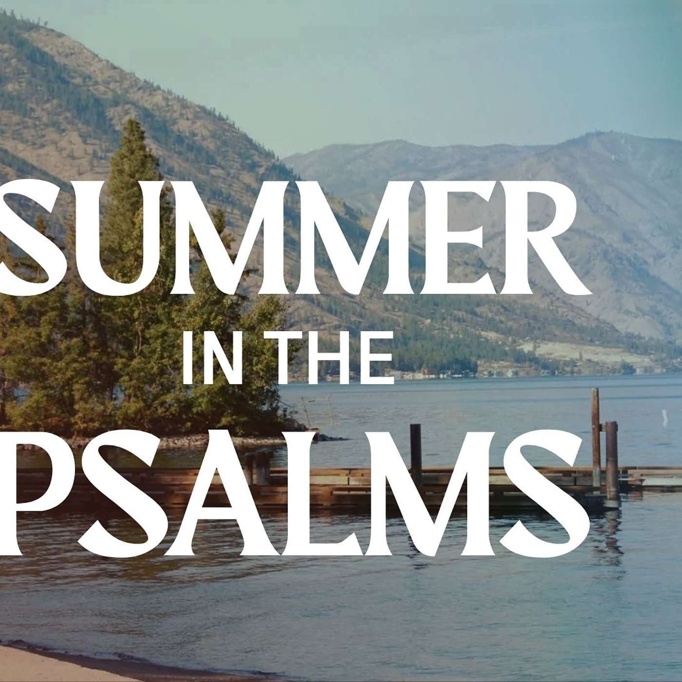 Summer In The Psalms - "How Long?" - Kyle Plew episode artwork