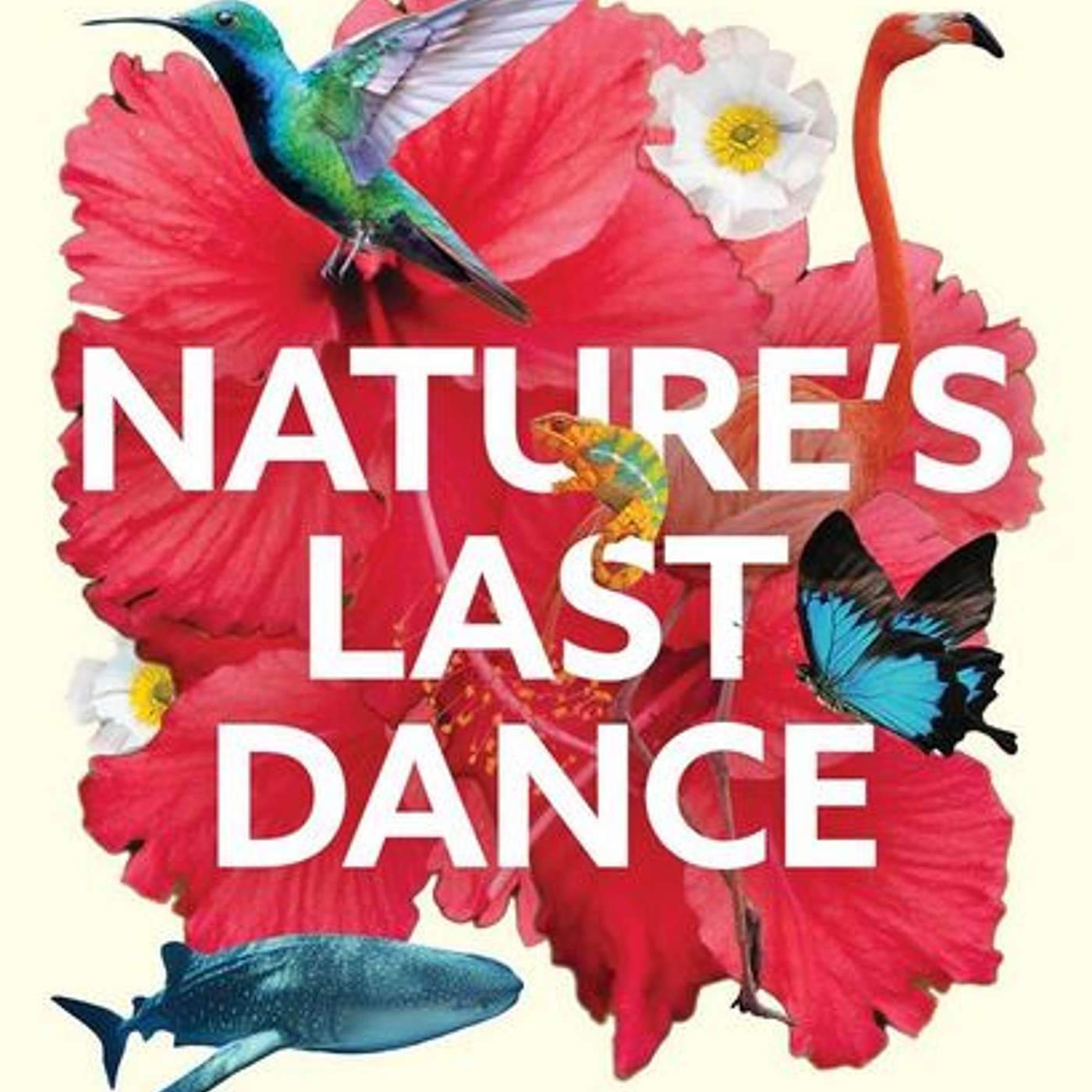 Nature's Last Dance, author Natalie Kyriacou