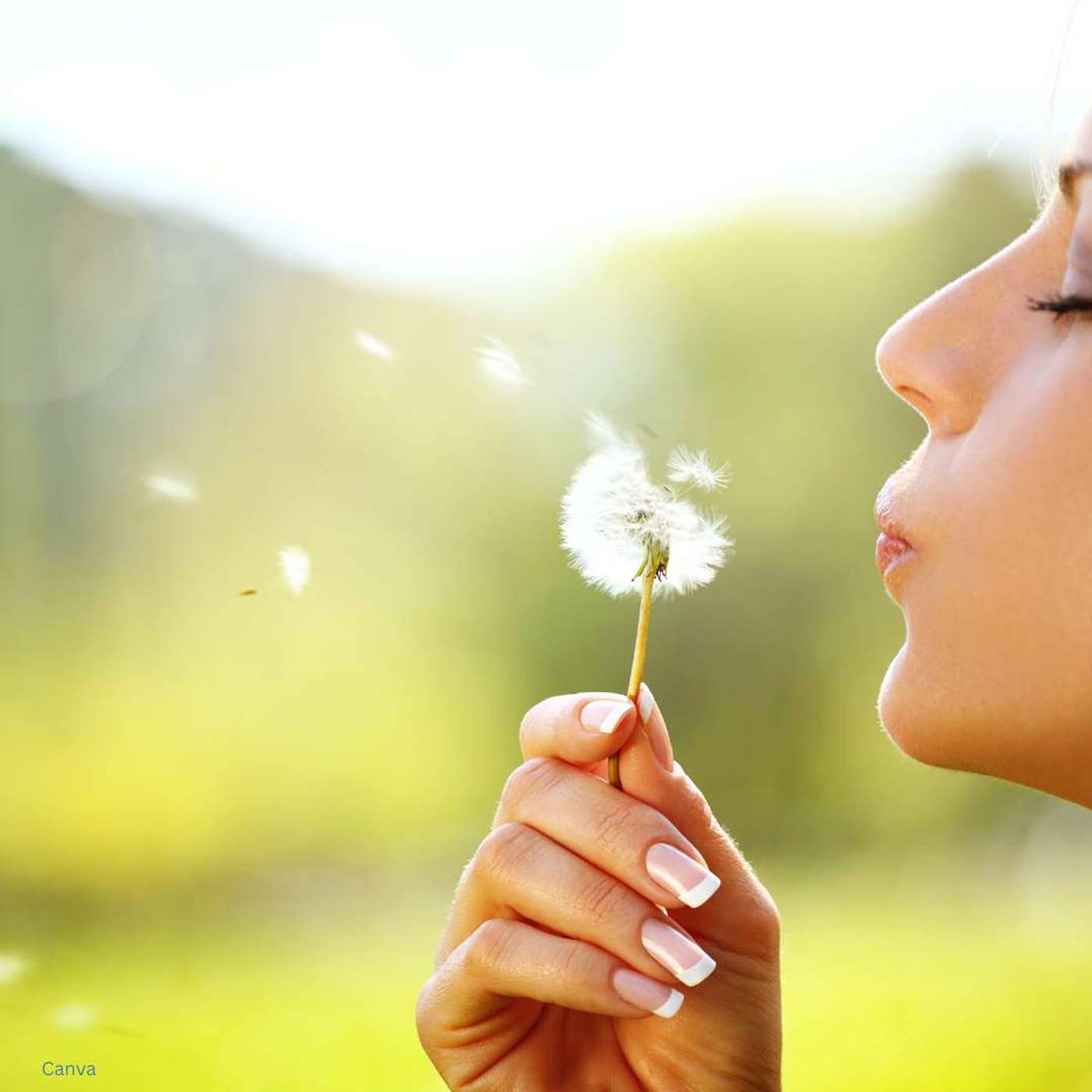 Help for Adults with Divorced Parents