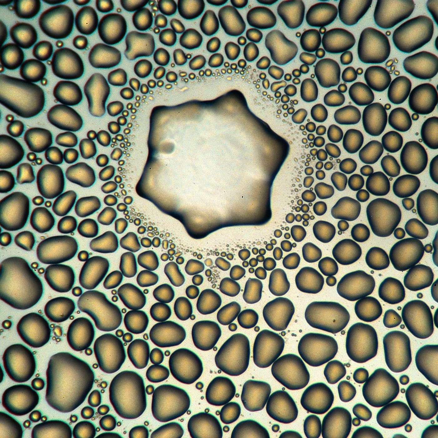 Conscious Living Conscious Dying 10 - Death - Introduction