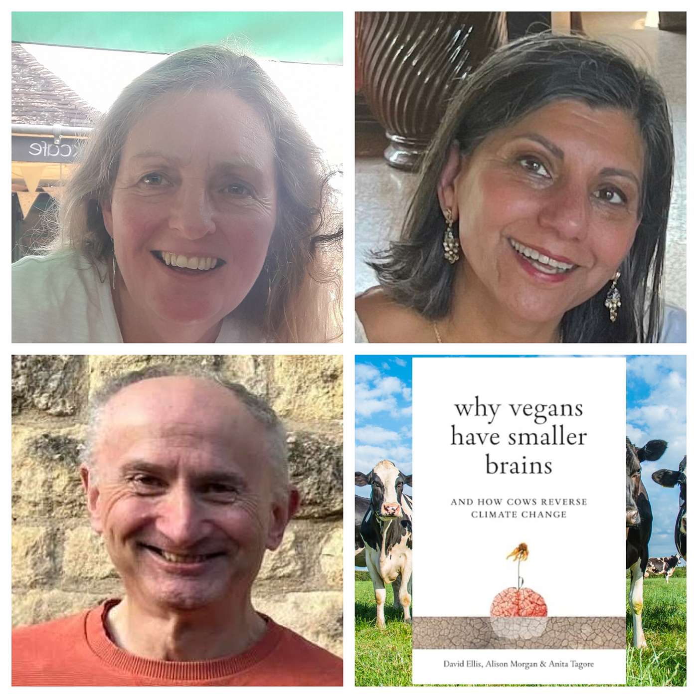 Why Vegans Have Smaller Brains with Authors Alison, Anita, and David! 785
