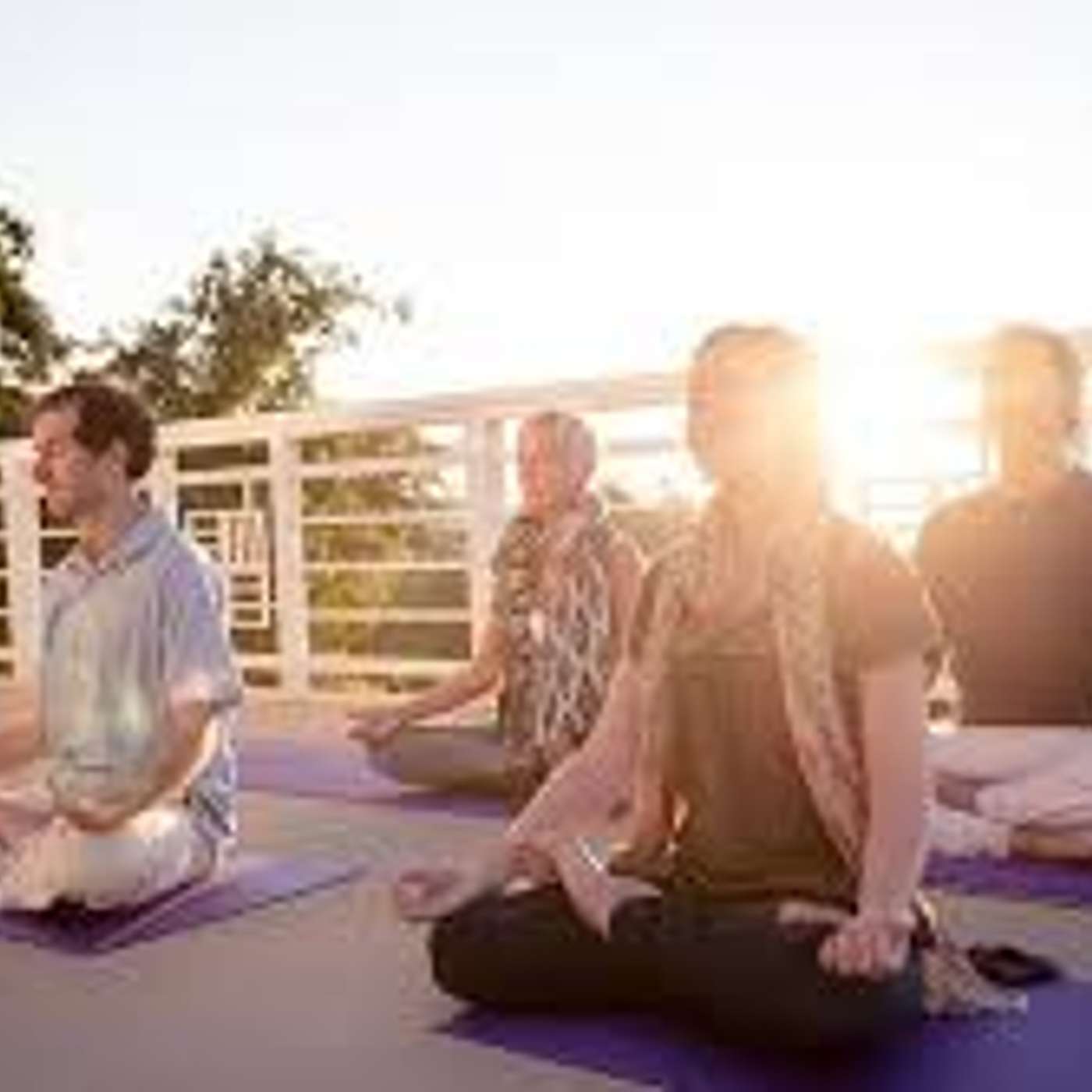 Journey To Wellness At The Art Of Living Retreat Center