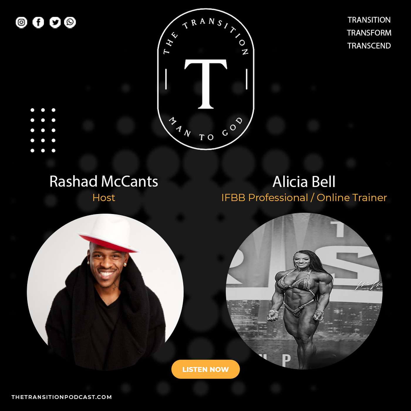 The Transition Podcast