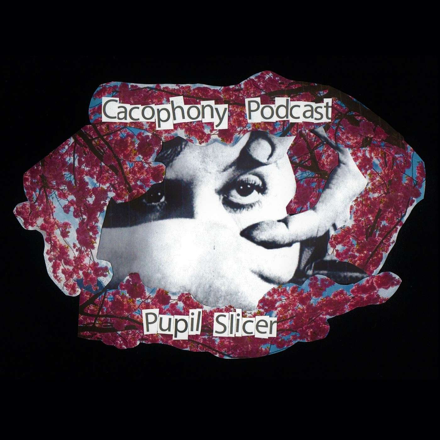 Cacophony Music Podcast - Obscure Music for Obscure People