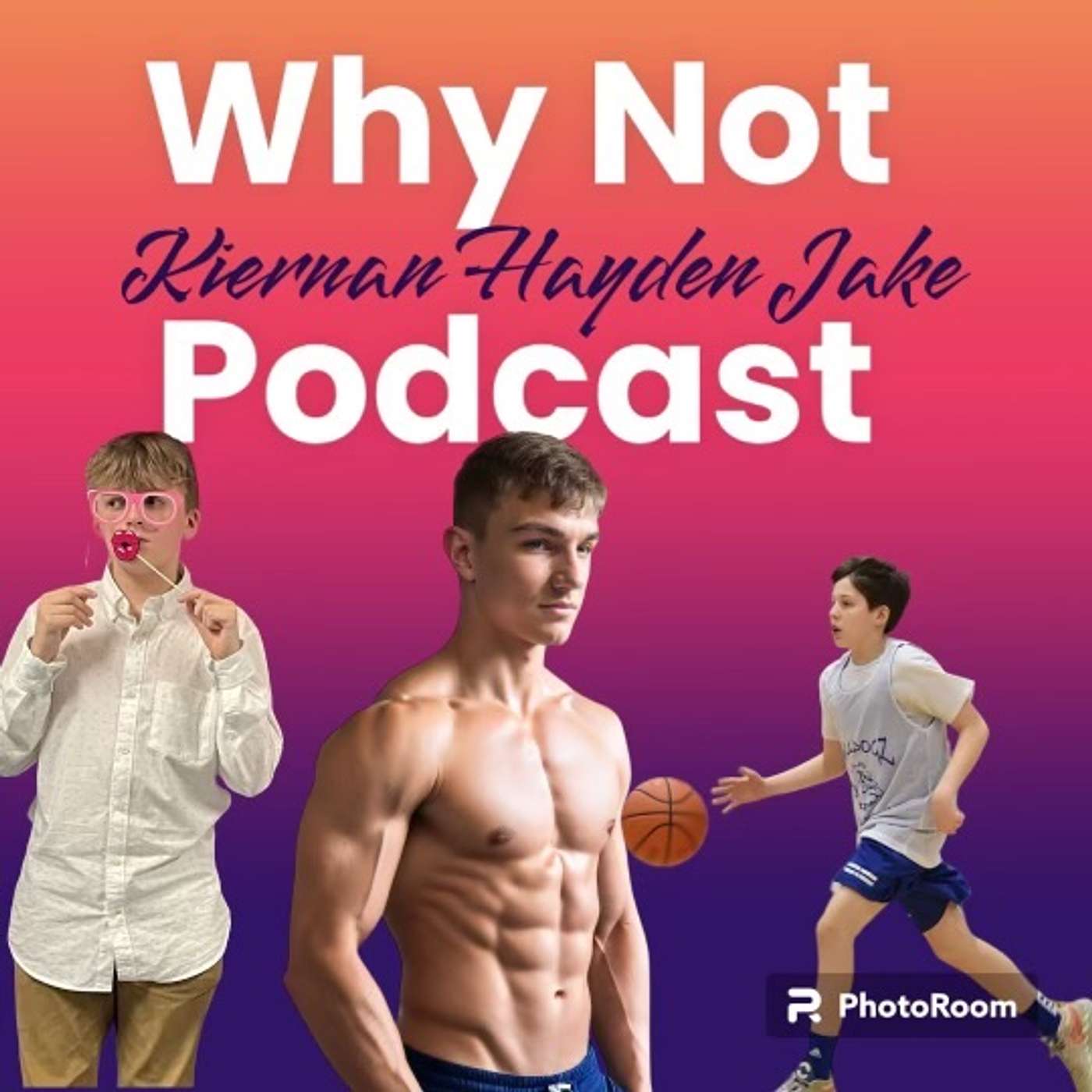The Why Not Podcast podcast artwork