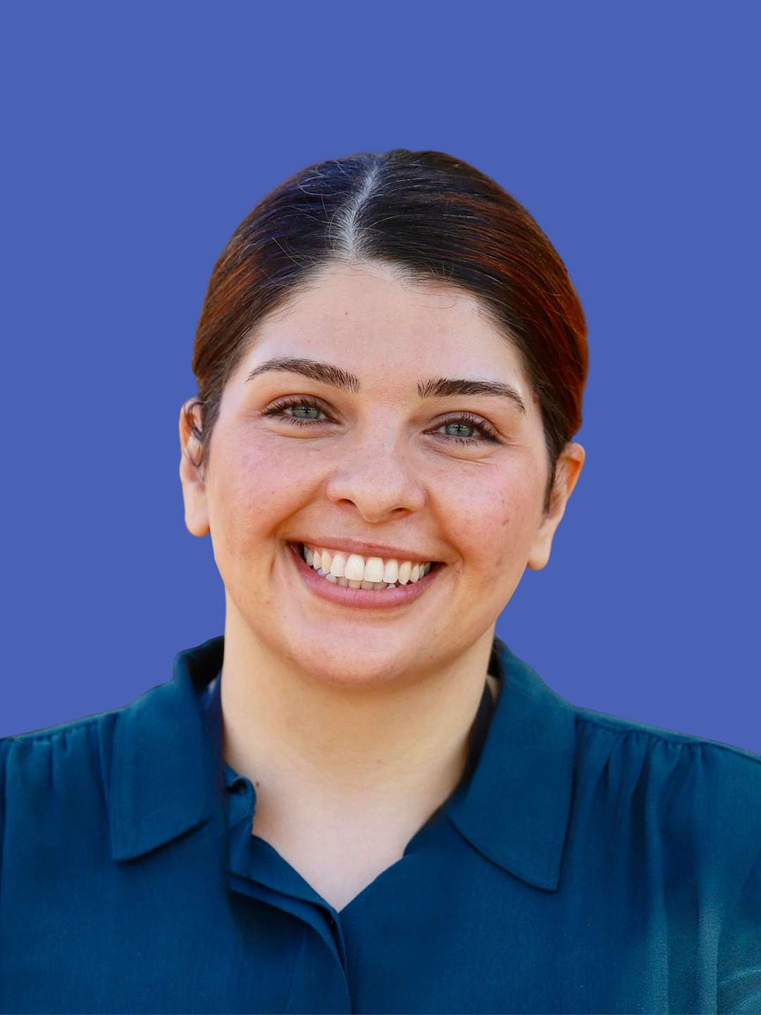 Dr Bahareh Badrian