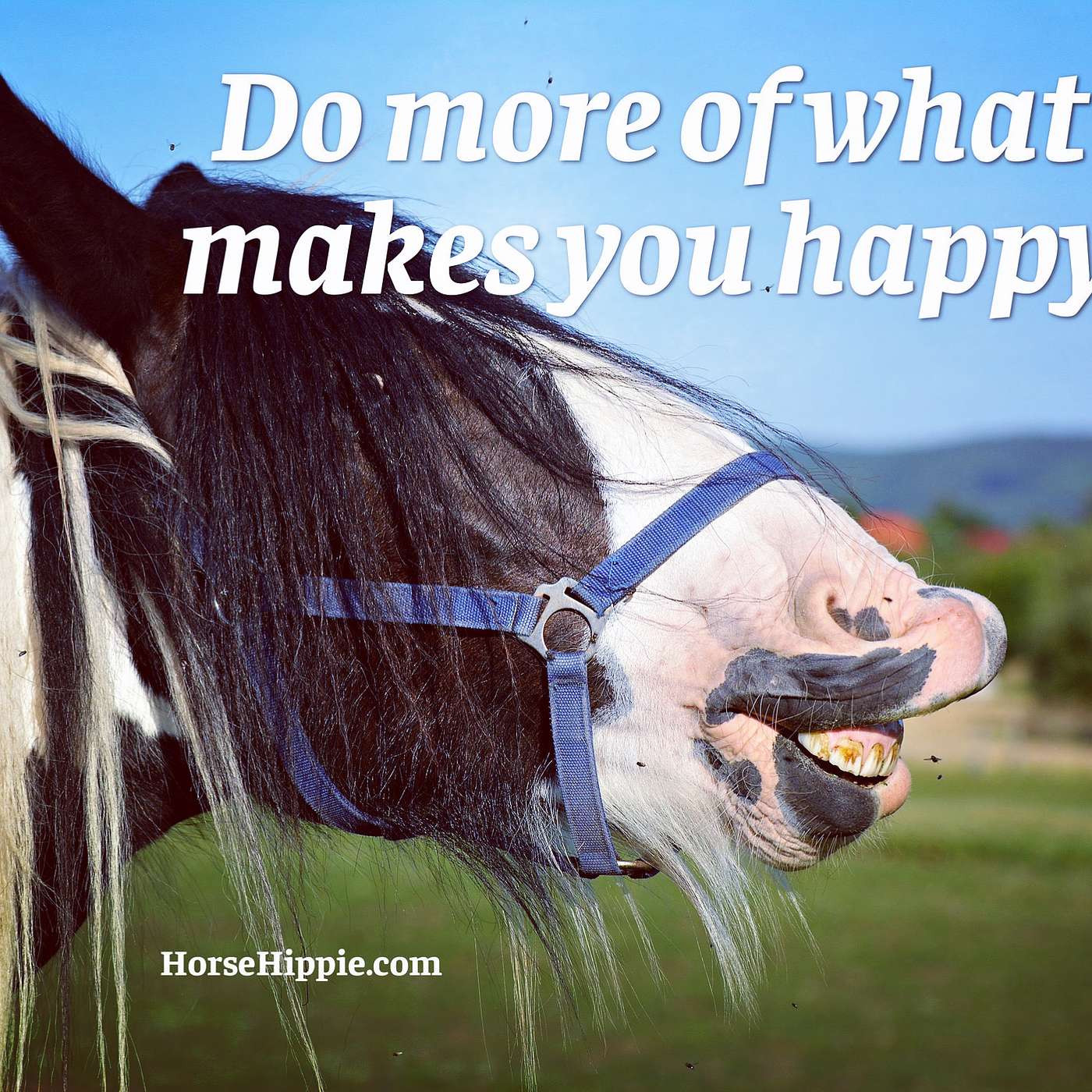 You Are Here To Be Happy