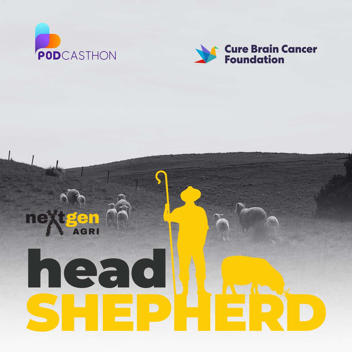 Lifetime Ewe Management, leadership and the legacy that changed sheep farming, with Mark, Darren and Andrew [PODCASTHON]
