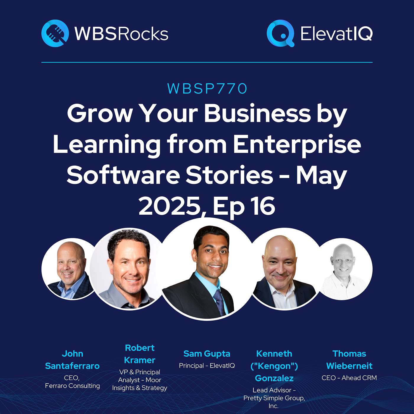 WBSP770: Grow Your Business by Learning from Enterprise Software Stories - May 2025, Ep 16, an Objective Panel Discussion
