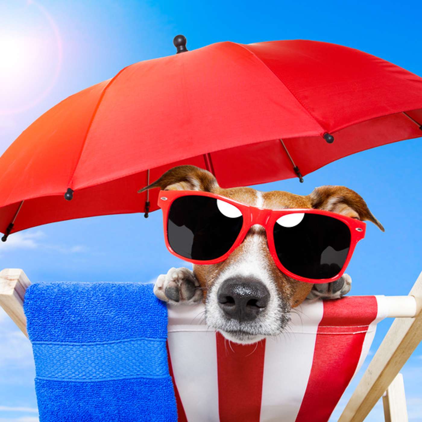 The Property Buyer & Sellers Podcast -Prepare For A Summer Sale