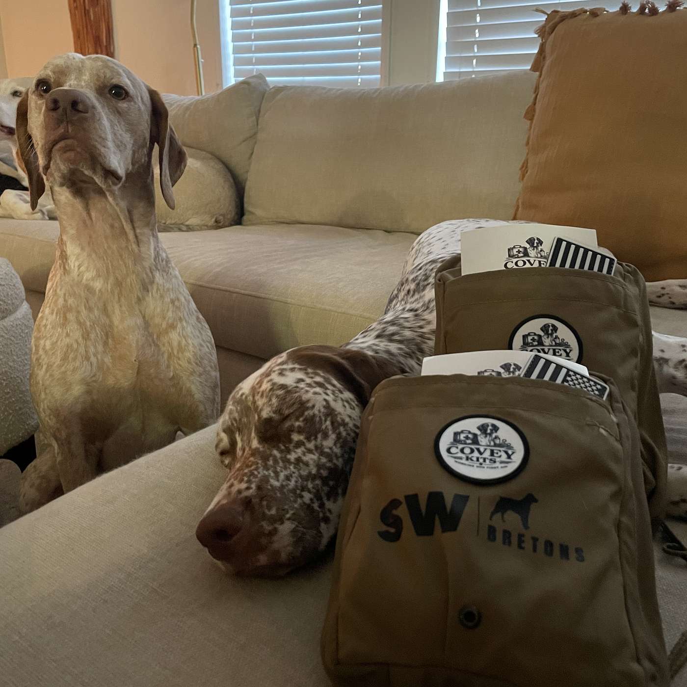 Episode #73 A Barbed Wire Injury Started A Smarter Working Dog First Aid Kit: Special Guest Geoffrey from Covey Kits | Part 2 of 2 episode artwork