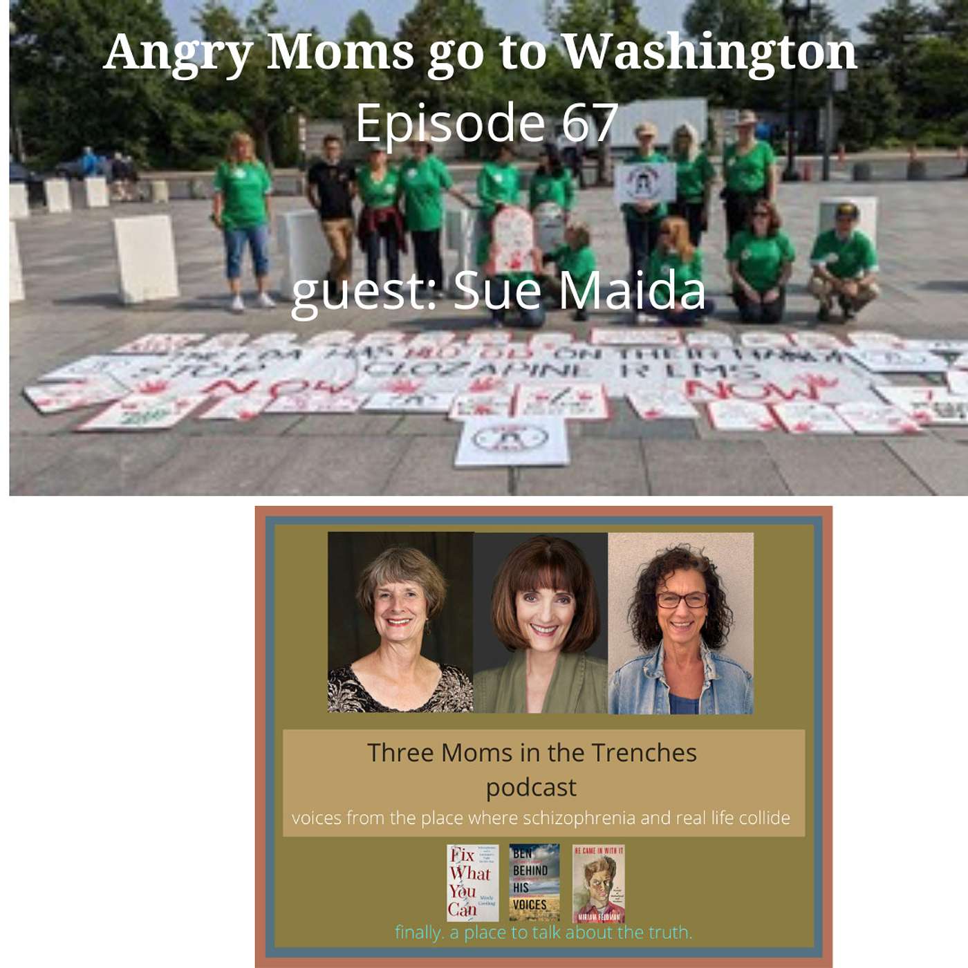 Schizophrenia: Three Moms in the Trenches