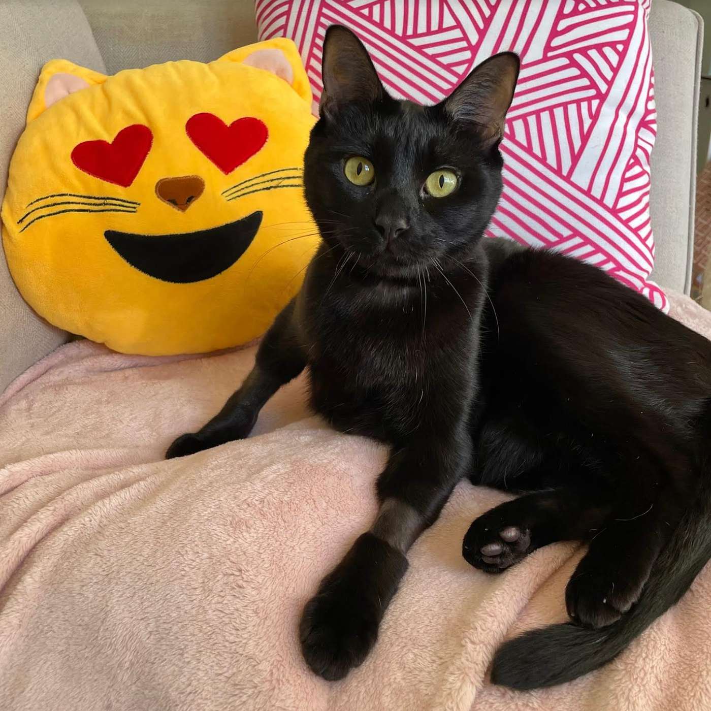 E9- The Stupid Episode E9- The Stupid Episode