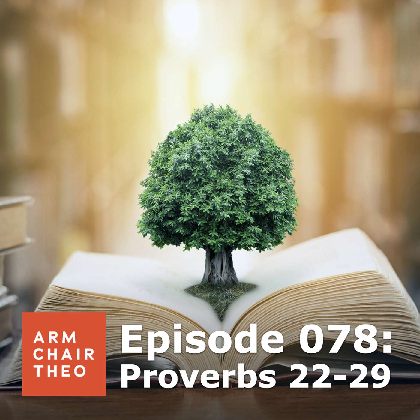 Armchair Theology
