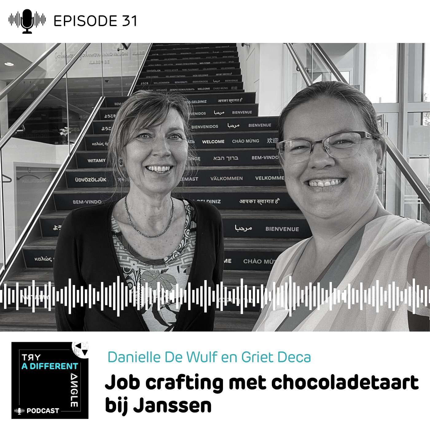 31. Job crafting met chocoladetaart bij Janssen