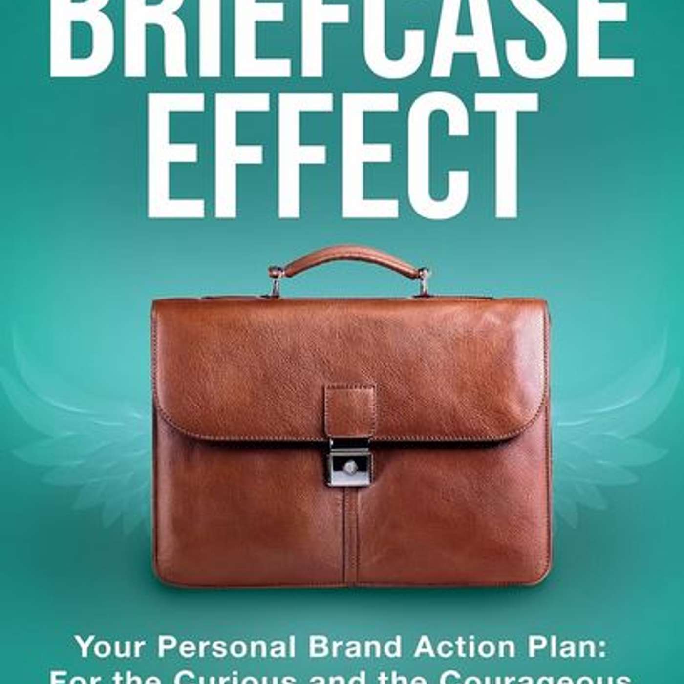 The Briefcase Effect, author Vinisha Rathod