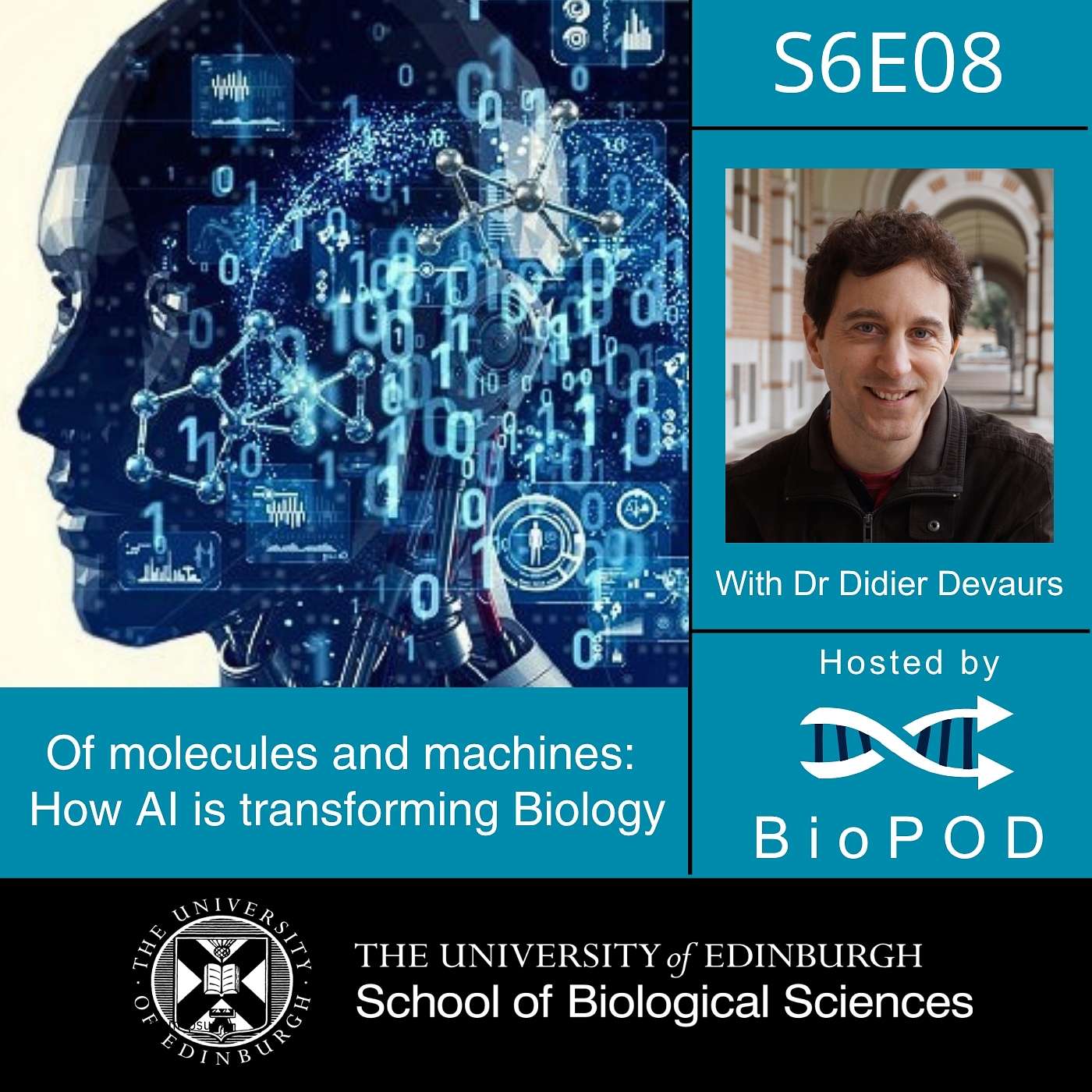 Of molecules and machines: How AI is transforming Biology
