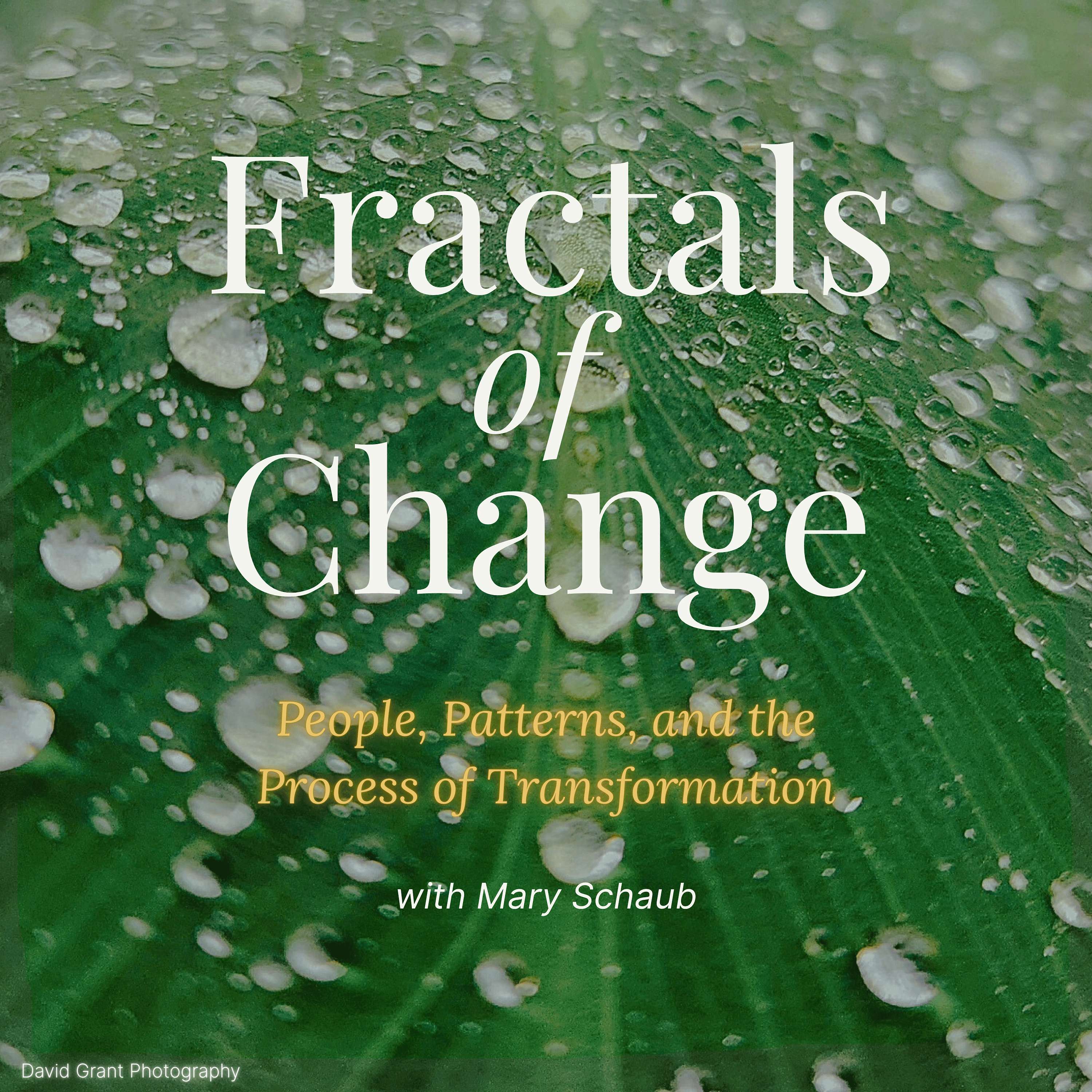 Fractals of Change
