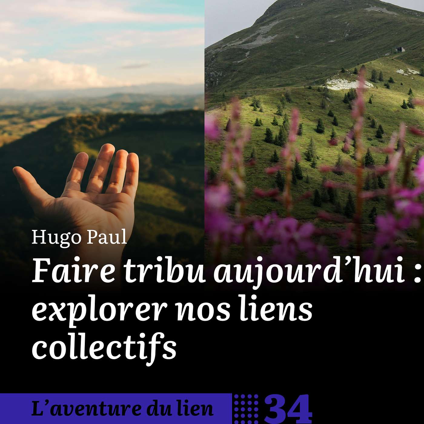 L\'aventure du lien