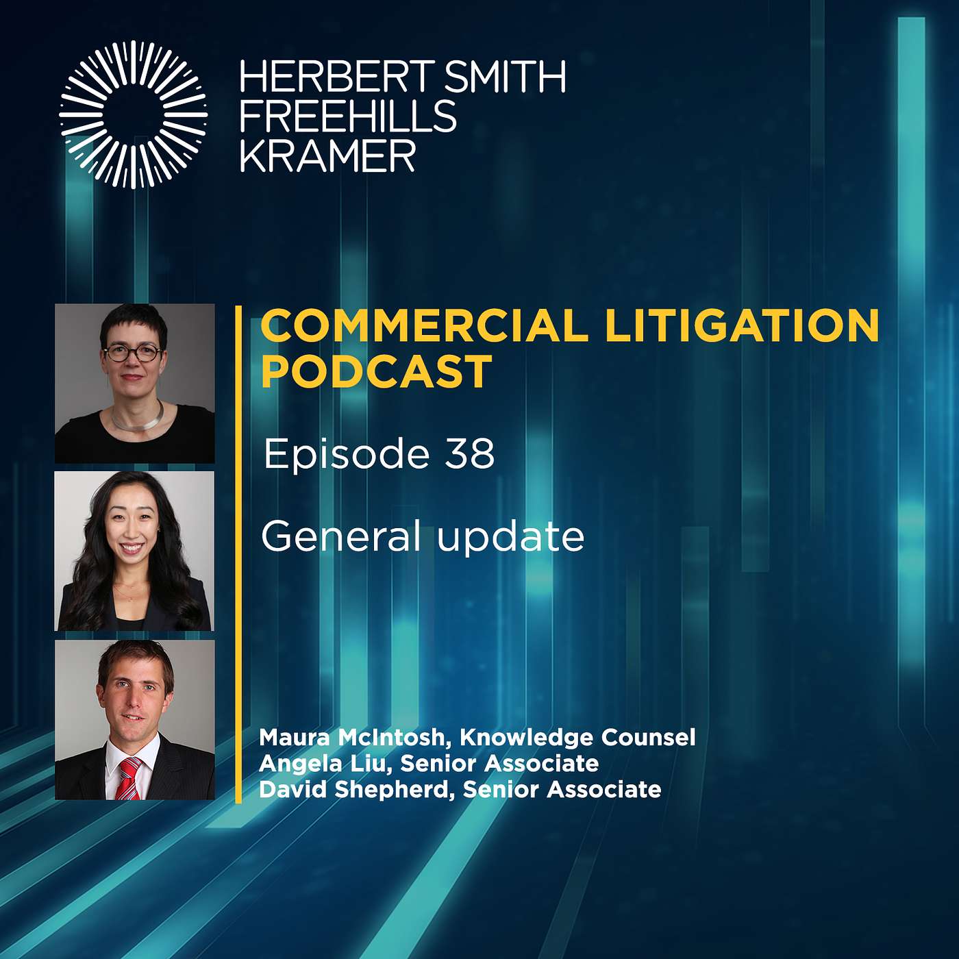 Commercial Litigation EP38: General update episode artwork