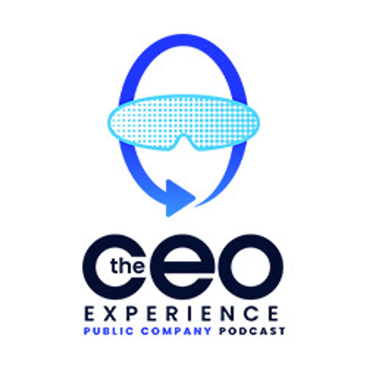 The Public Company CEO Experience