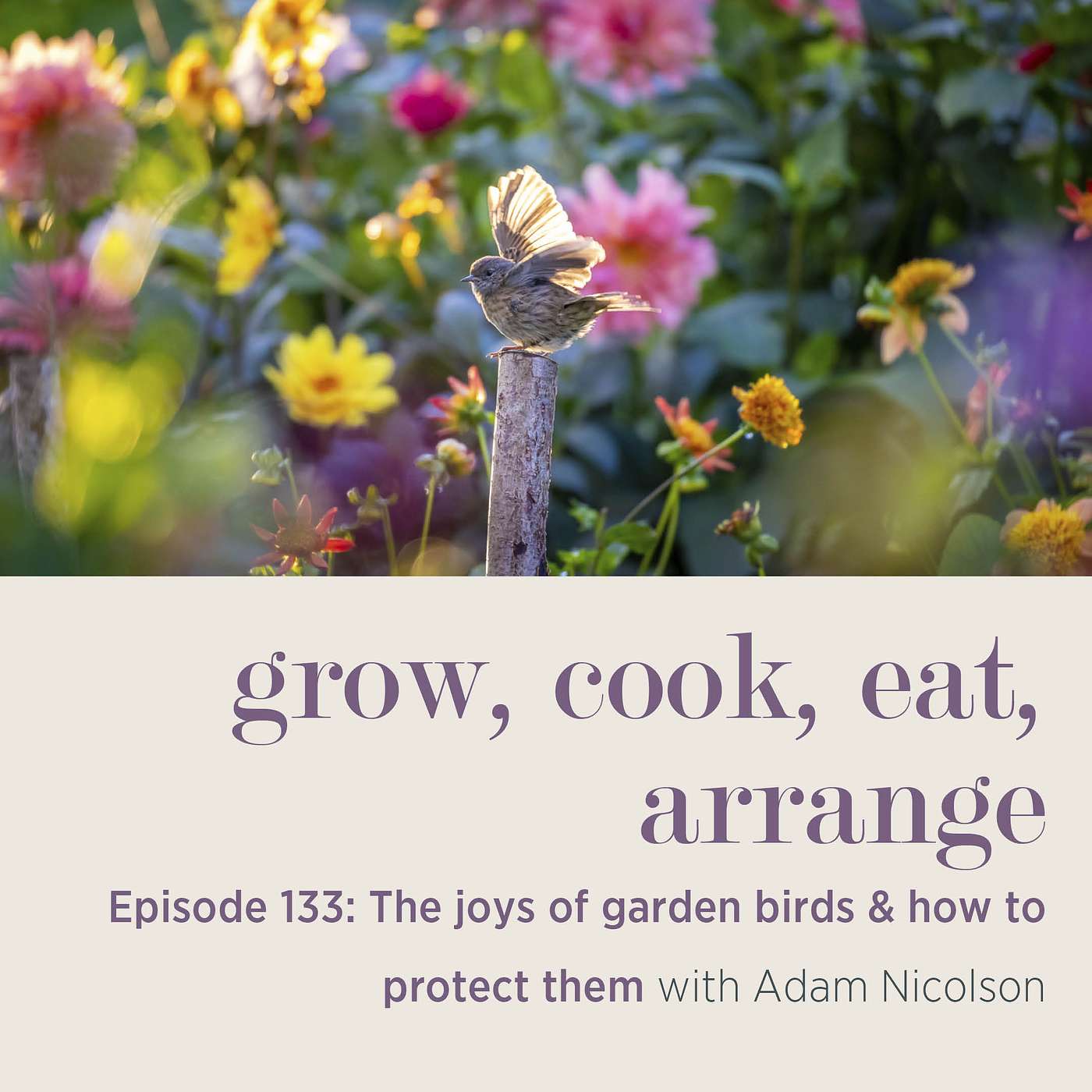 cover of episode The Joys of Garden Birds & How to Protect Them with Adam Nicolson - Episode 133