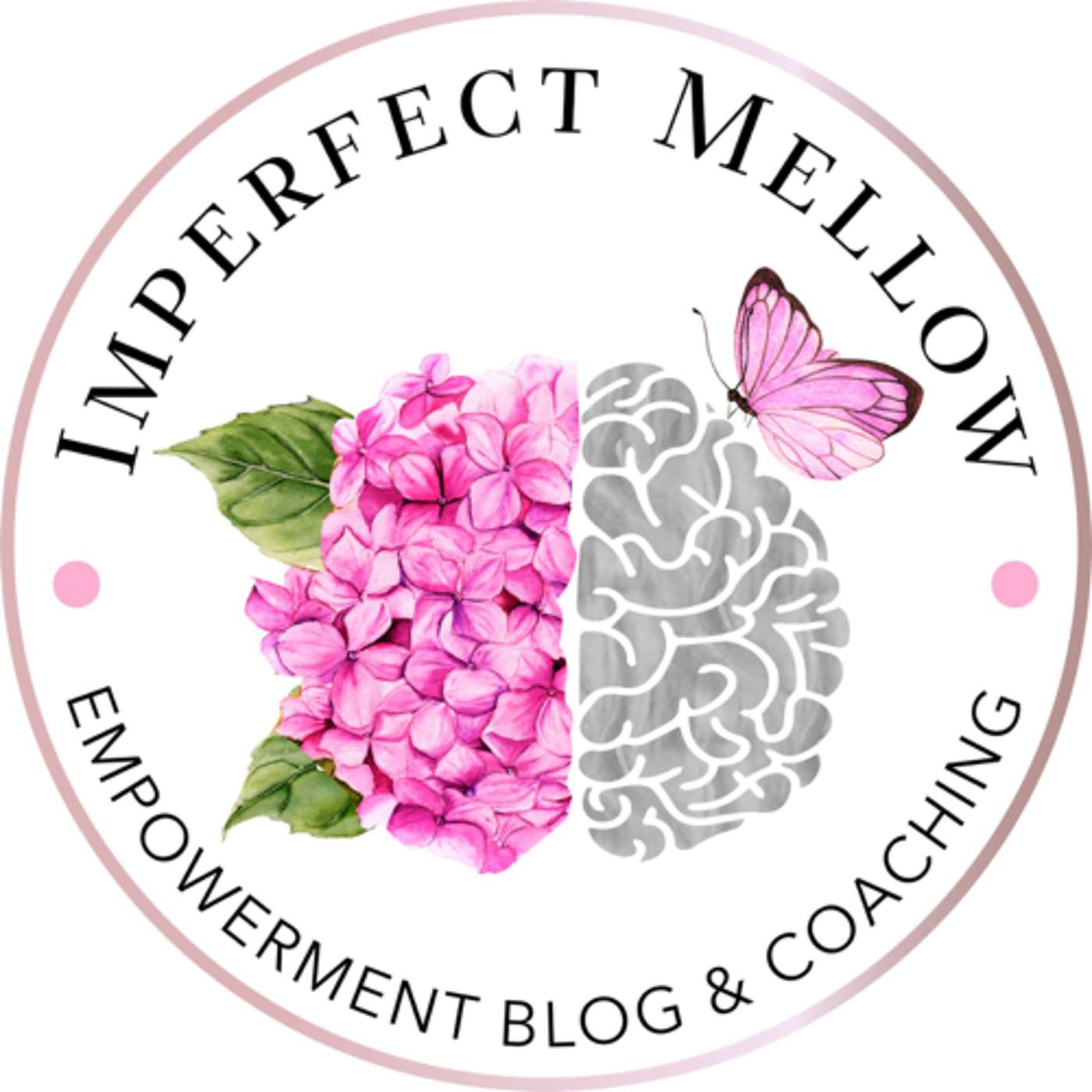Introduction to the Mellow