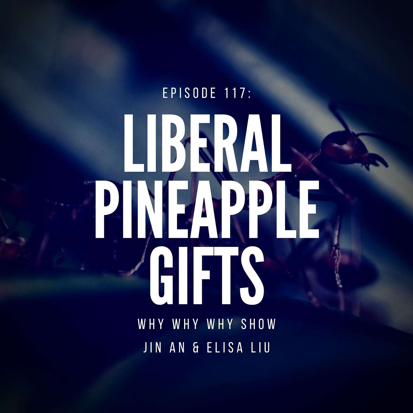 117: Liberal Pineapple Gifts