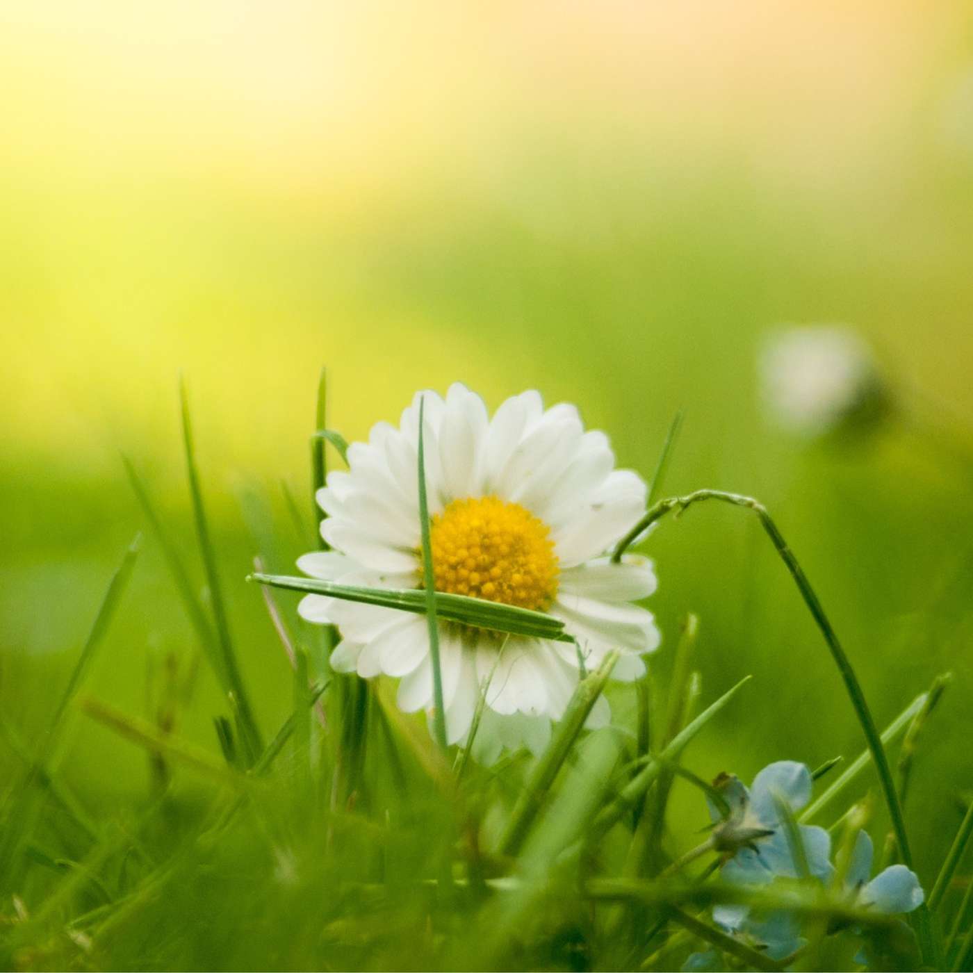 Unlocking Everyday Joy: Finding Happiness in Simple Moments