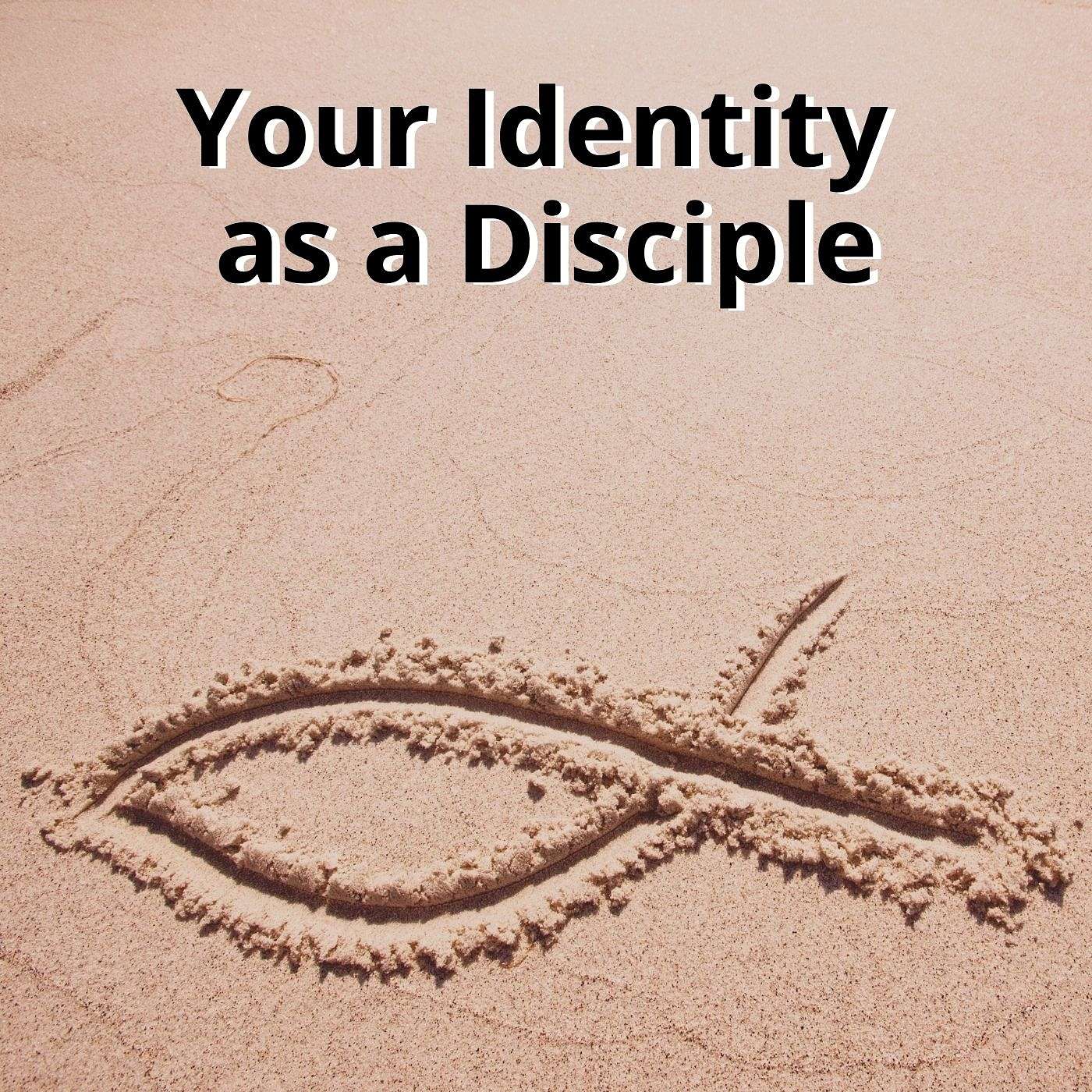 Disciple Making