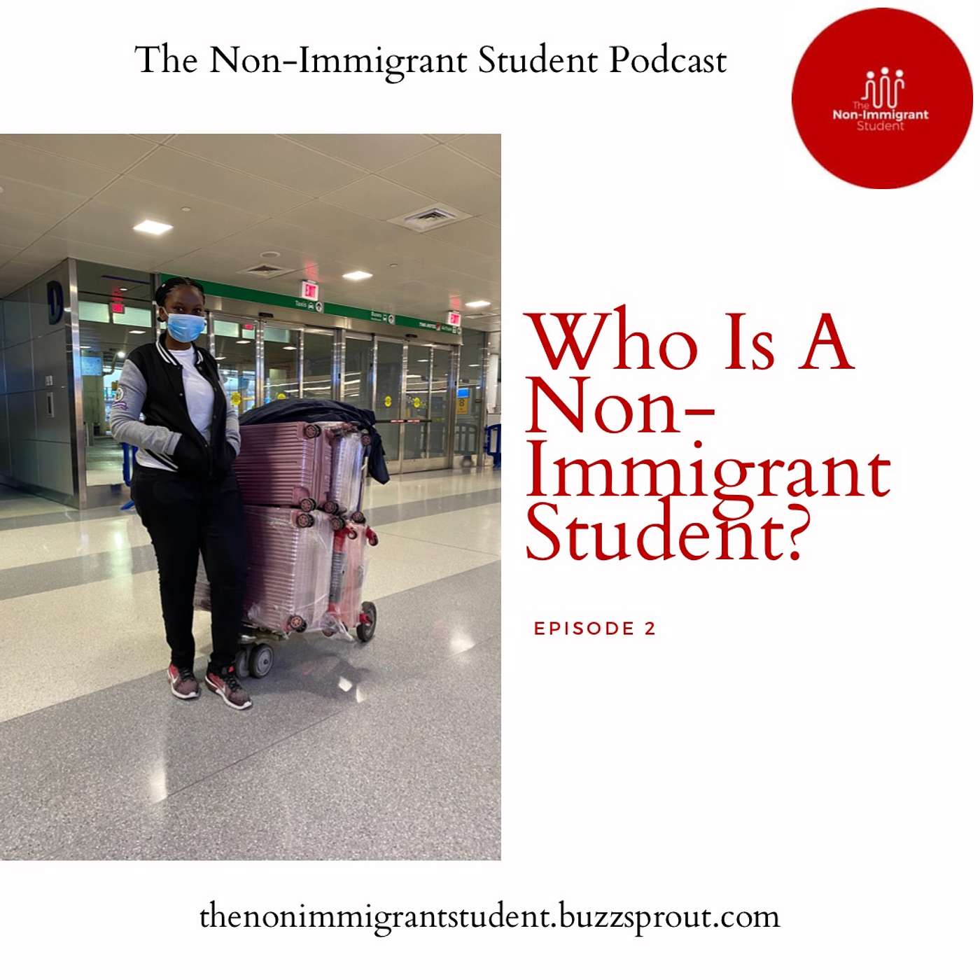 Who is The Non-Immigrant Student?