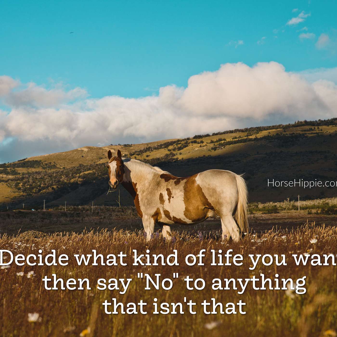 Create the Life You Want