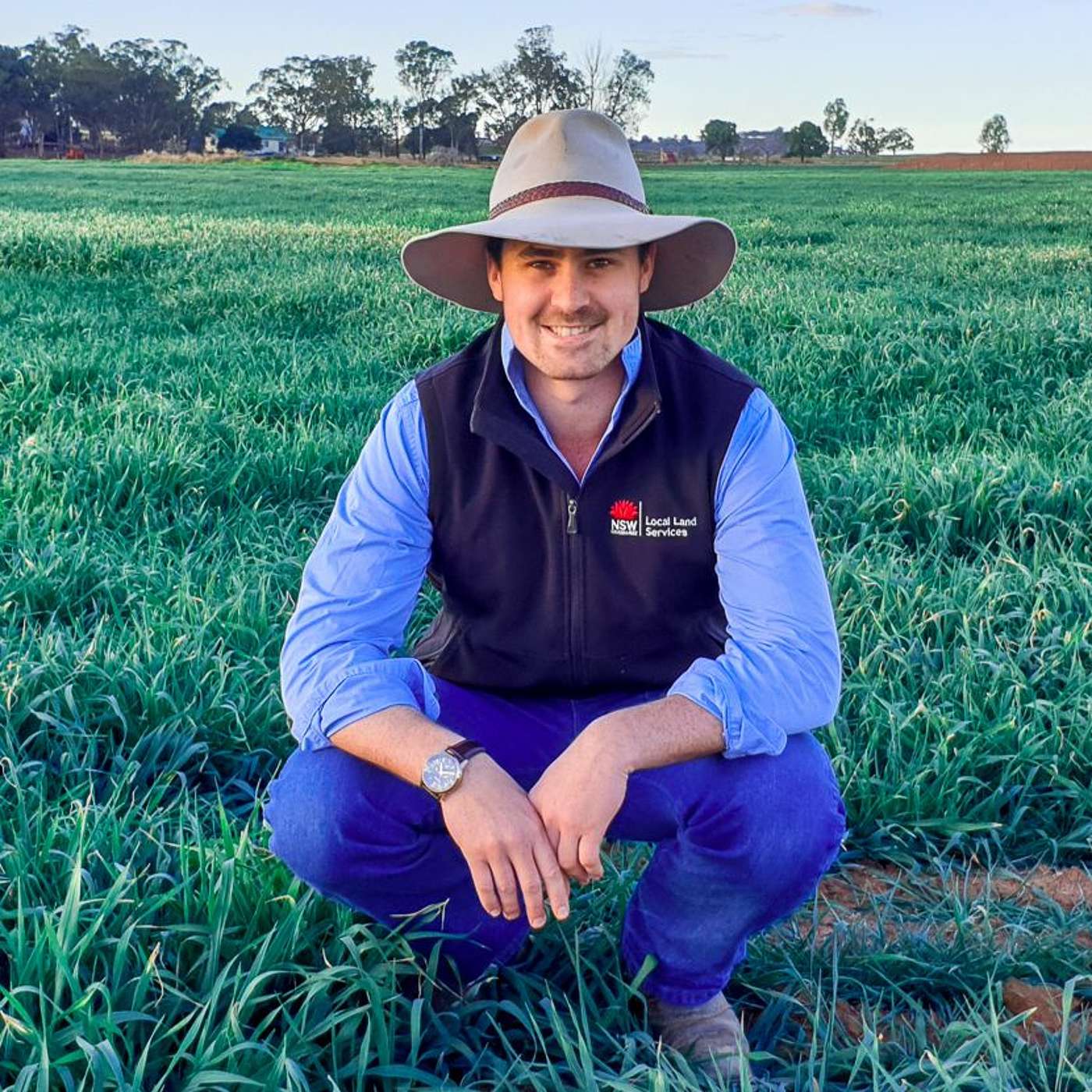 Regional Update - Tim Bartimote, LLS NSW