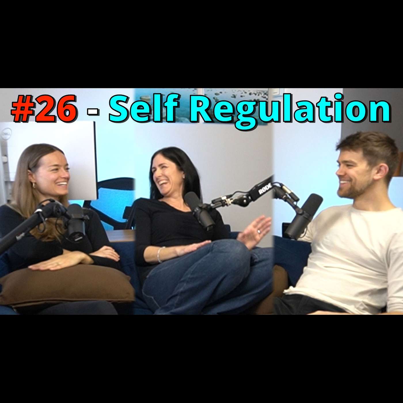 #26 - Self Regulation