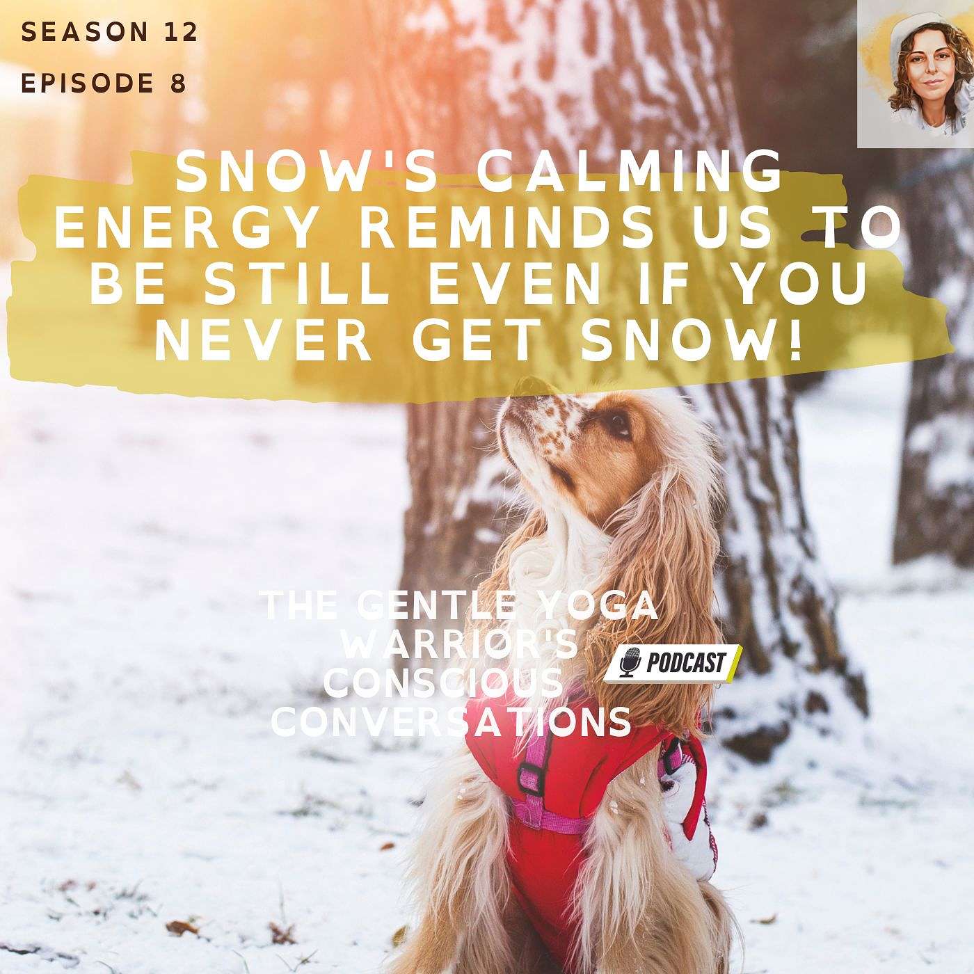 Snow's Calming Energy Reminds Us To Be Still Even If You Never Get Snow!