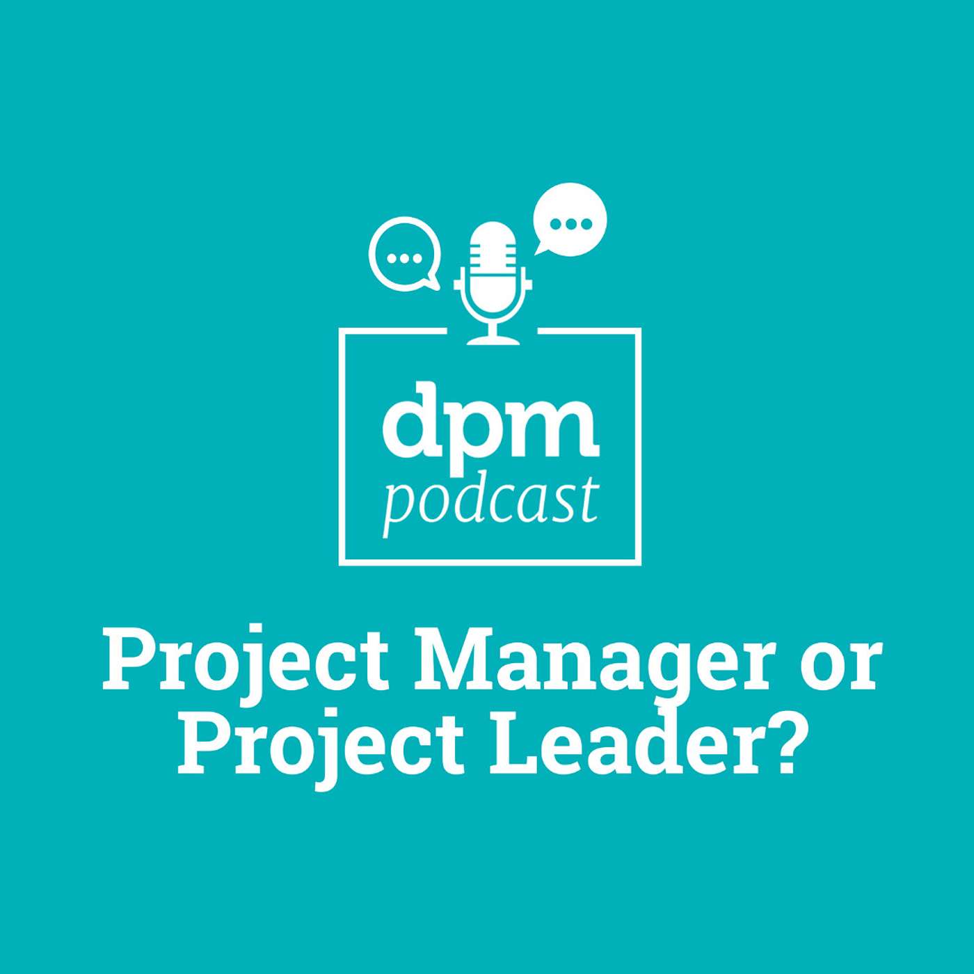 Project Manager Or Project Leader? (with Rebecca Germond from FCV Interactive) episode artwork