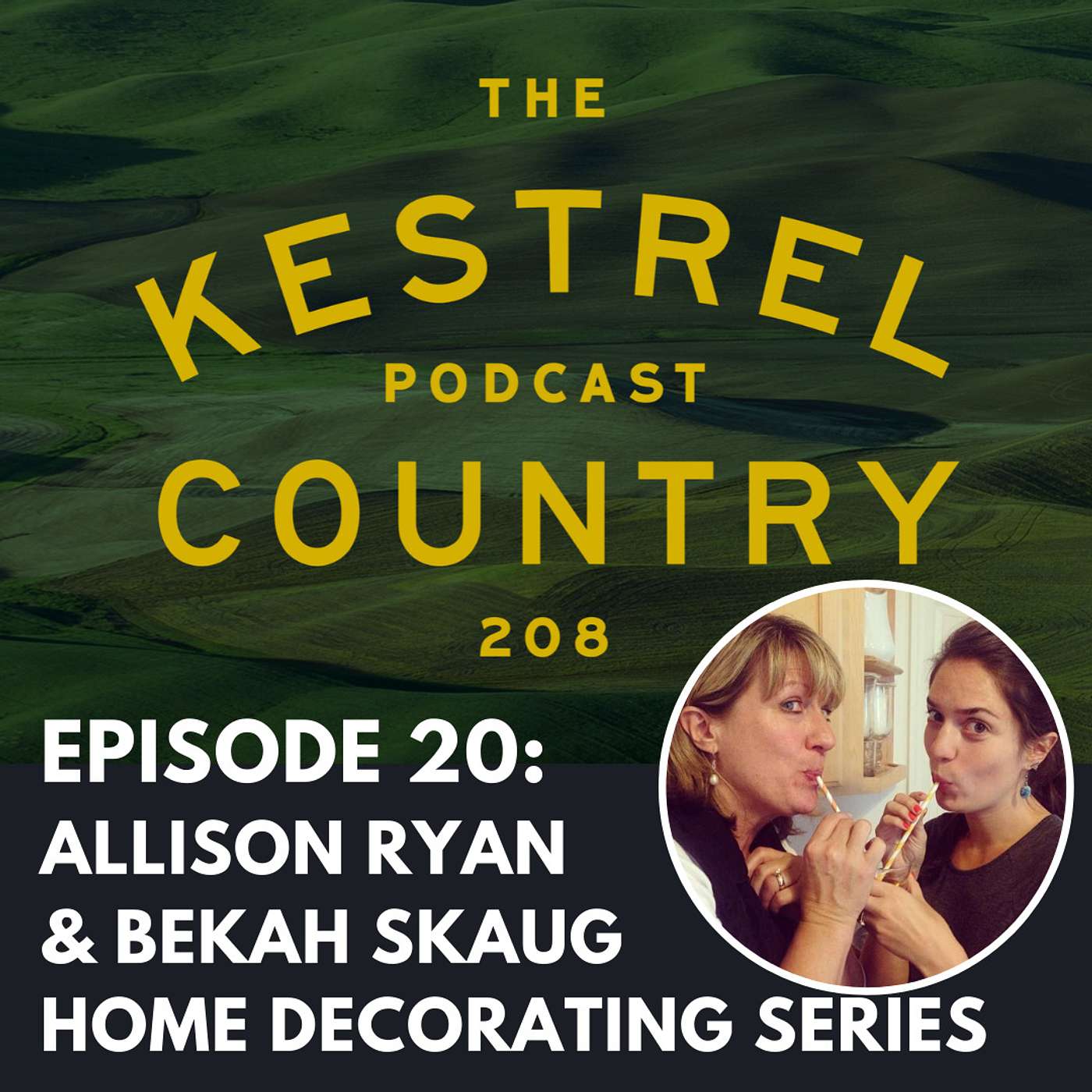 20. Bekah Skaug & Allison Ryan - Home Decorator Series - 1