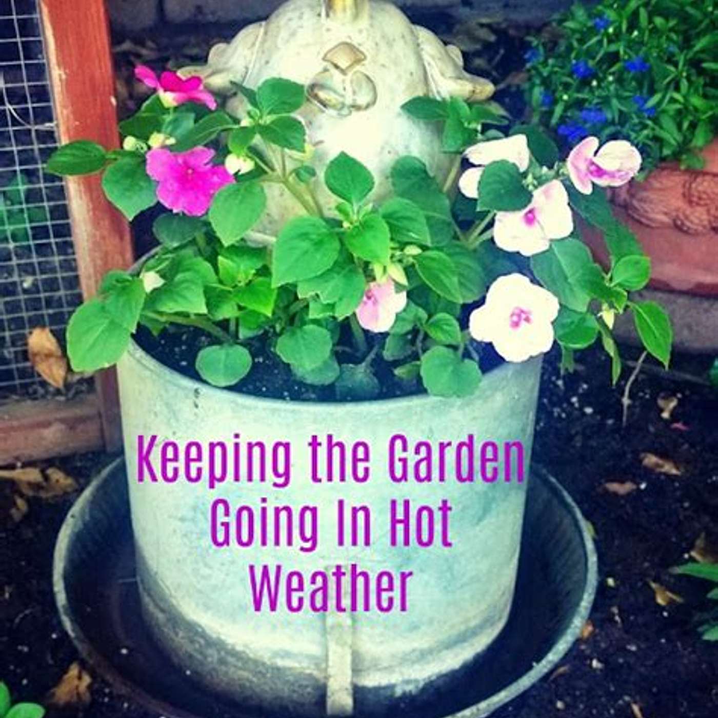 Hot gardening facts episode artwork