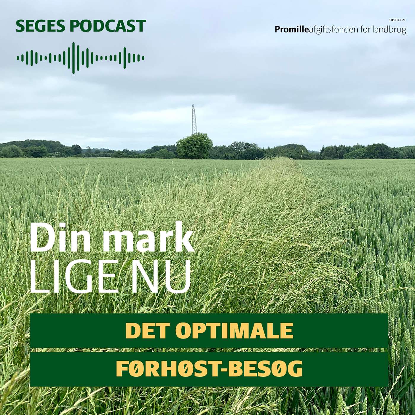 Din Mark Lige Nu: Få det maksimale ud af dit førhøst-besøg
