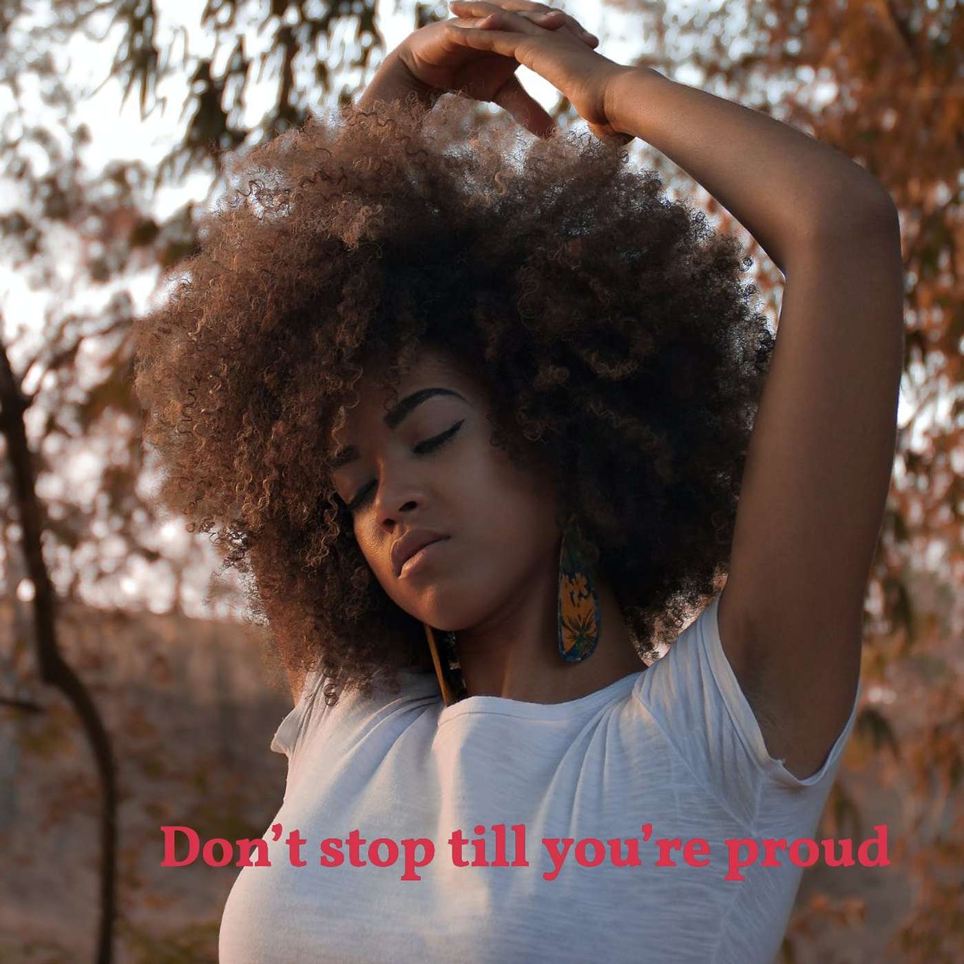 #241 Don't stop until you're proud episode artwork
