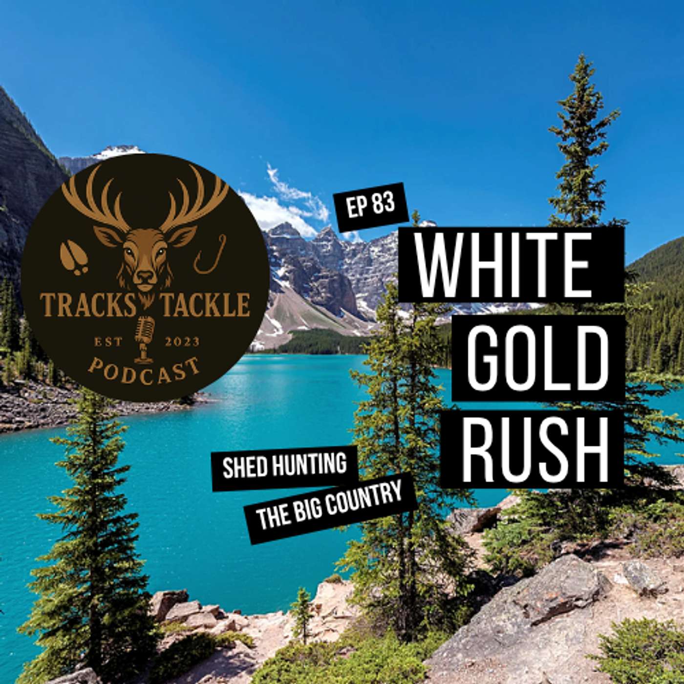 EP 83 White Gold Rush: Shed Hunting the Big Country