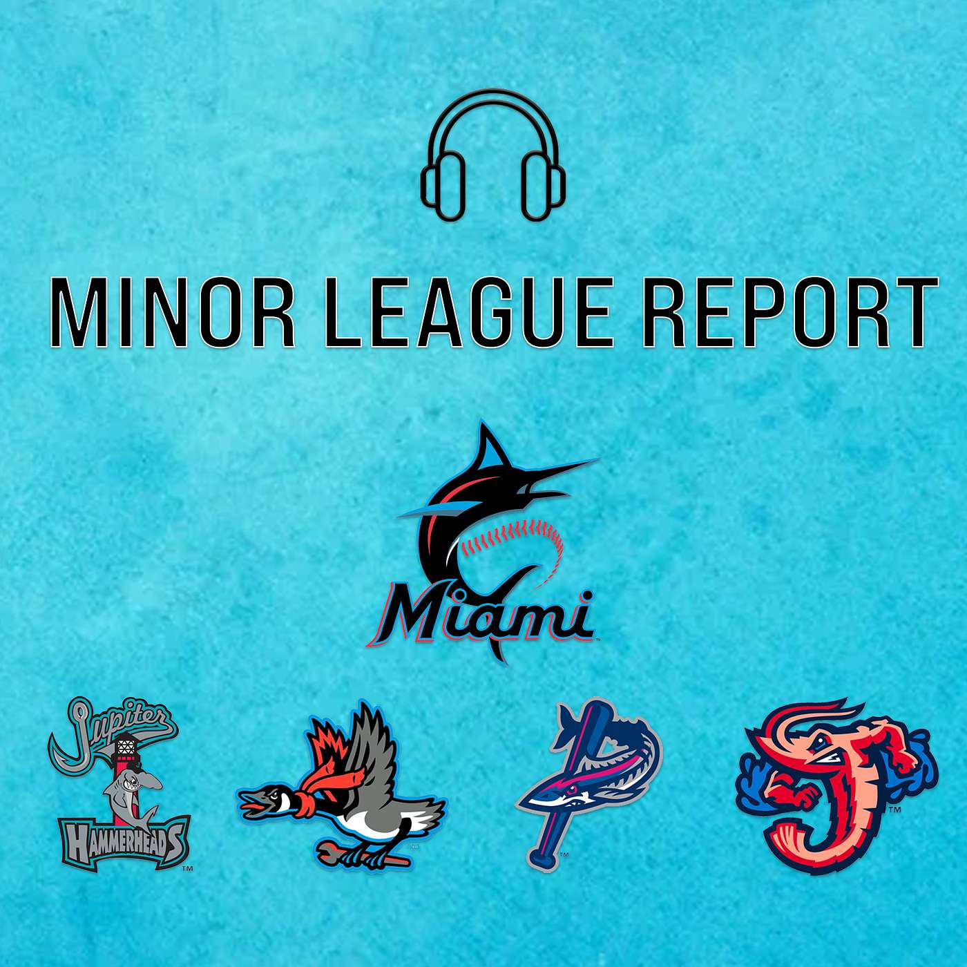 Marlins Minor League Report - April 12 episode artwork