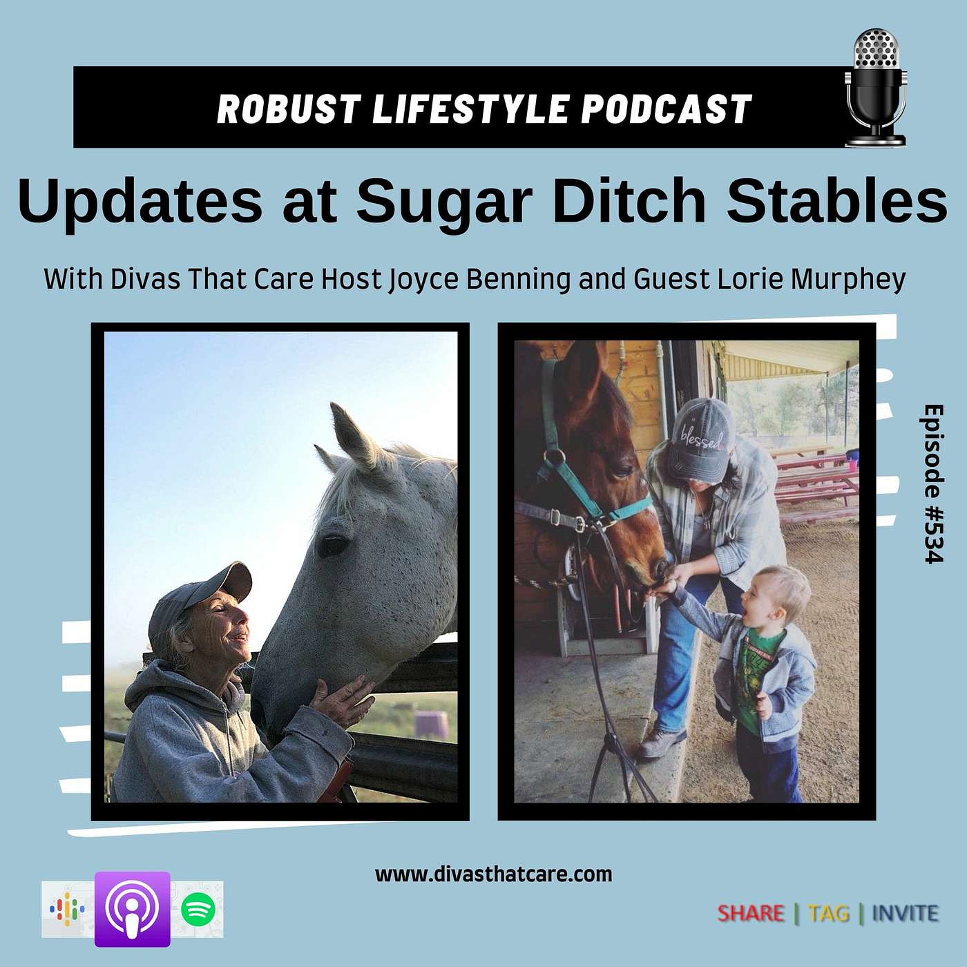 Updates at Sugar Ditch Stables episode artwork