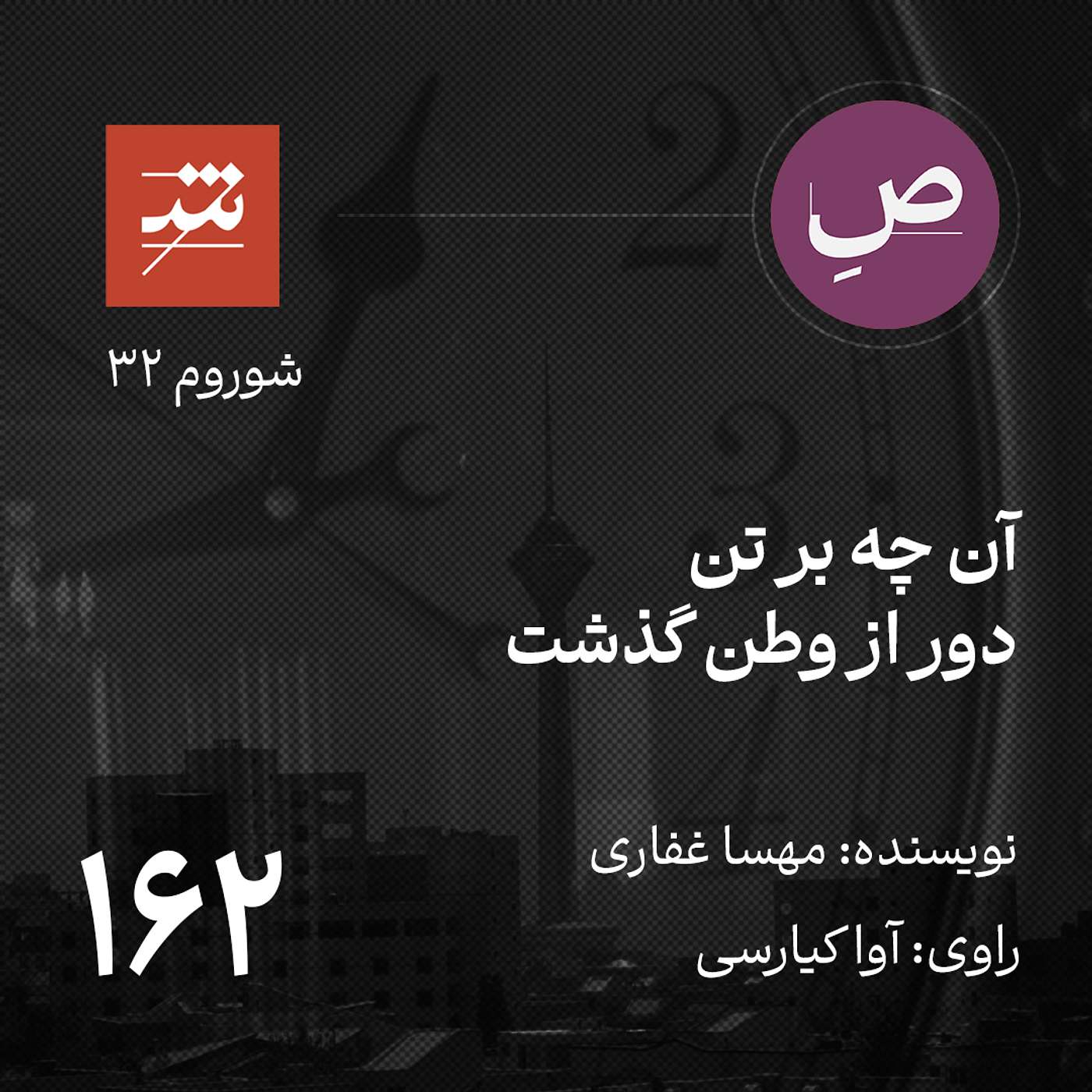 آن چه بر تن دور از وطن گذشت