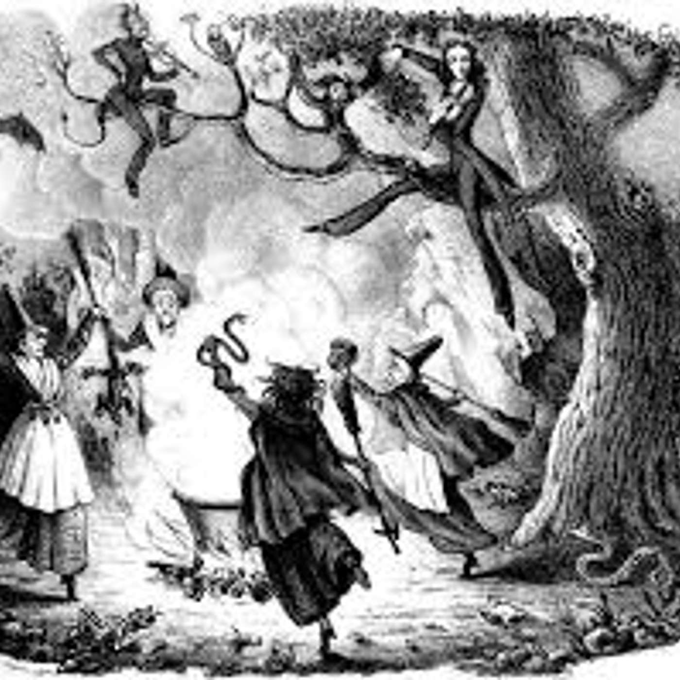 Amici per il pelo, il mondo degli animali visto e raccontato da una veterinaria